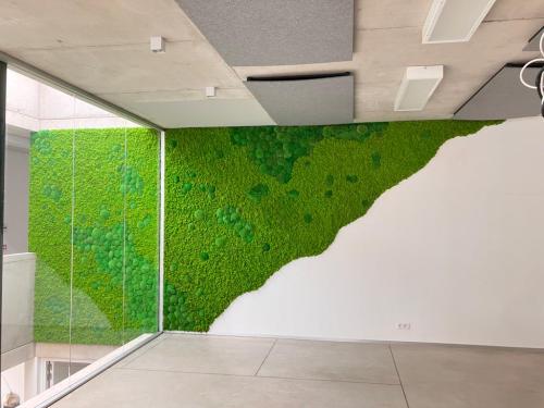 Mur_vegetal_lichen_stabilise